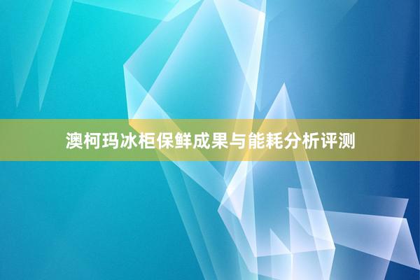 澳柯玛冰柜保鲜成果与能耗分析评测